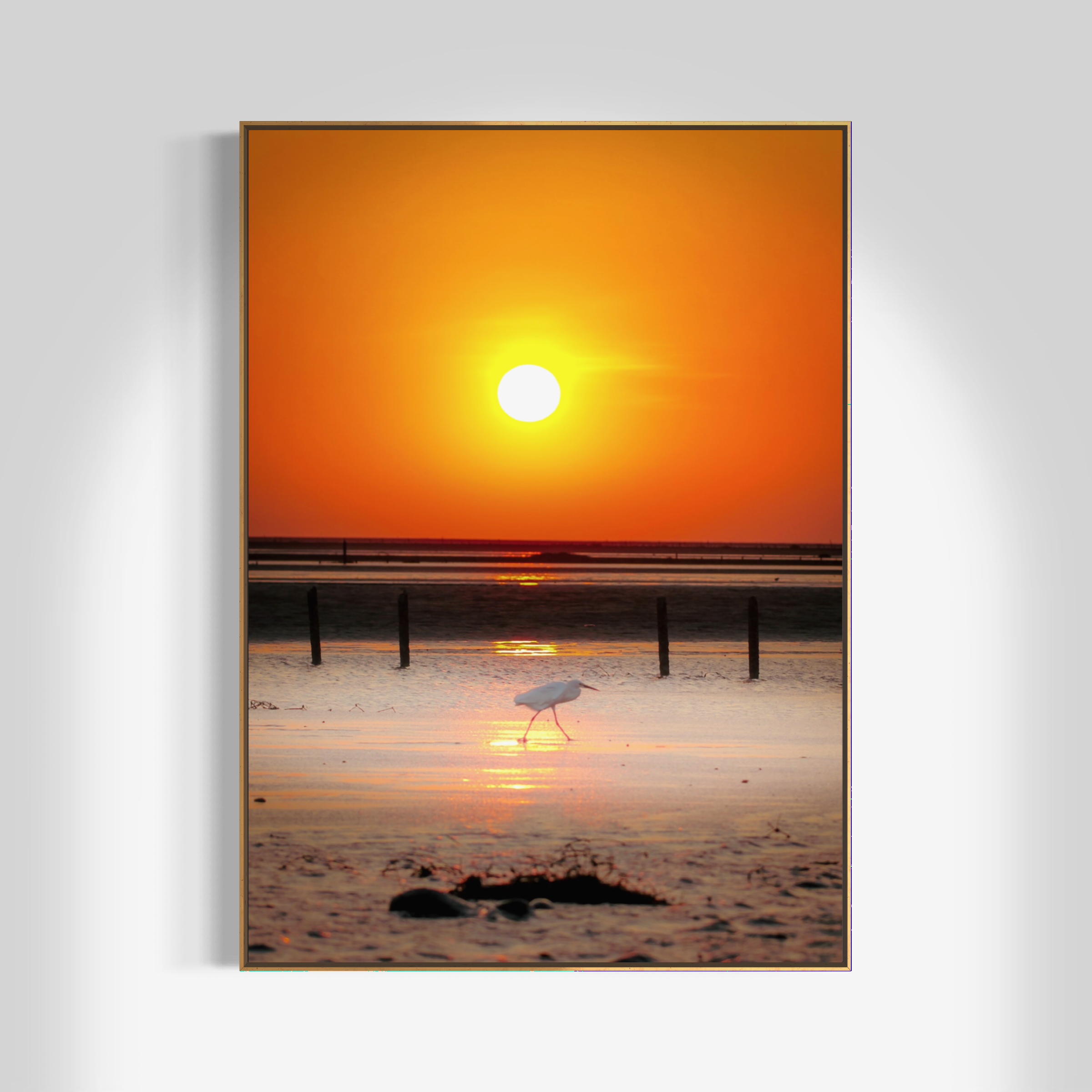 白鷺不知夕陽<br />The Egret, Unaware of Sunset