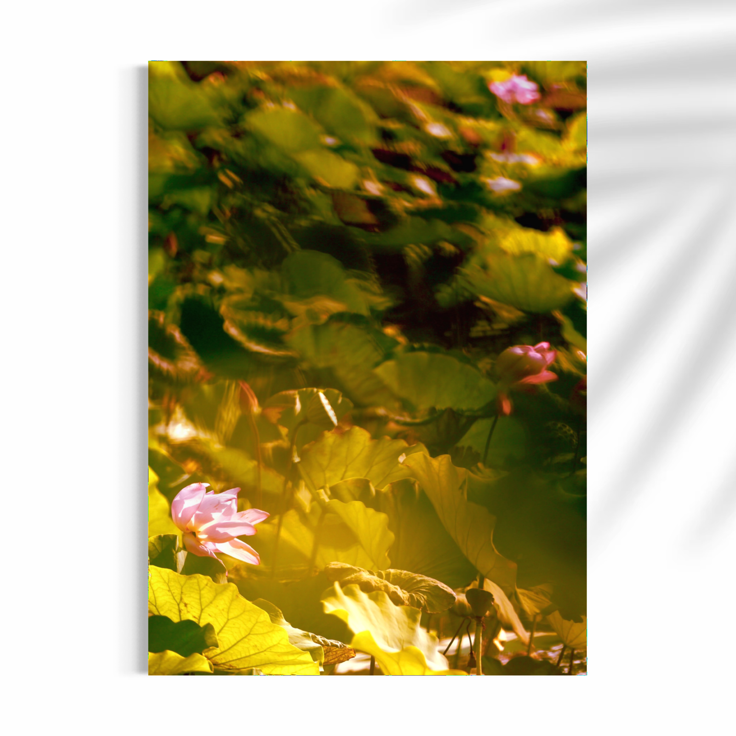 裙擺搖搖<br />Swaying Skirts