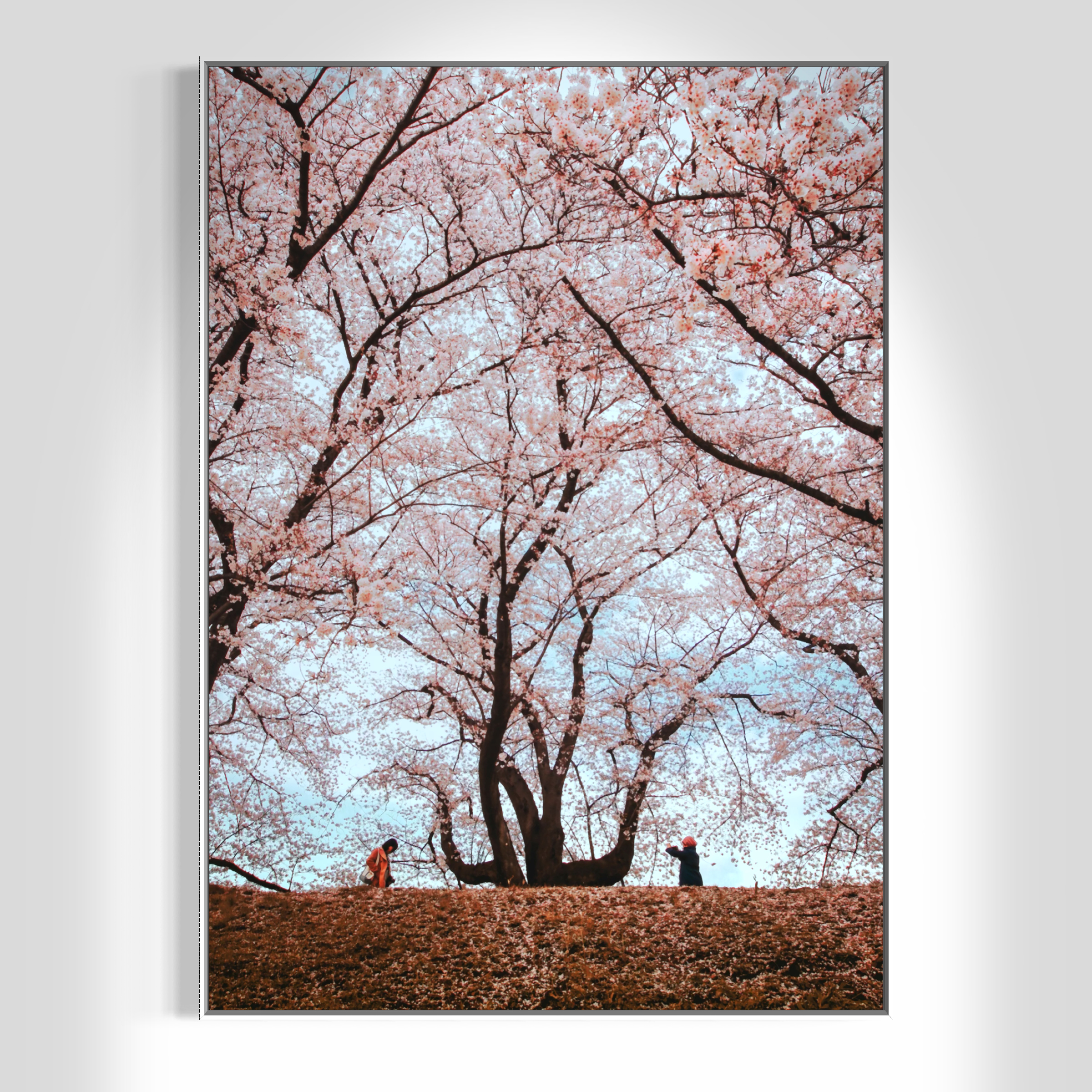 原本陌生的人<br>也不再是陌生人<br>Strangers No More